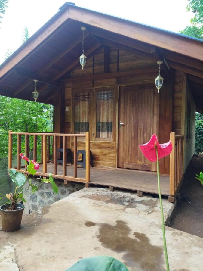 Diyaluma View Cotage 호텔 Koslanda 외부 사진