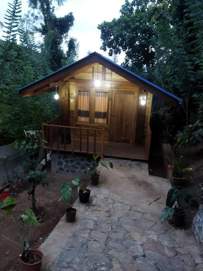 Diyaluma View Cotage 호텔 Koslanda 외부 사진