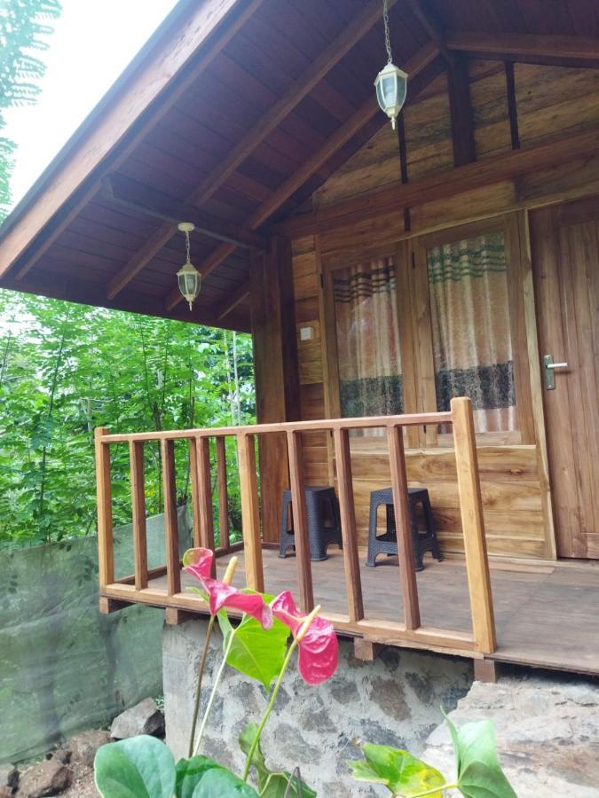 Diyaluma View Cotage 호텔 Koslanda 외부 사진