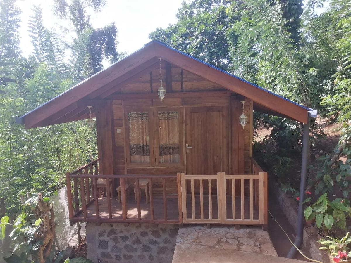Diyaluma View Cotage 호텔 Koslanda 외부 사진