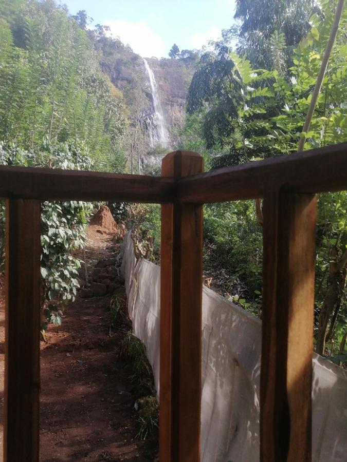 Diyaluma View Cotage 호텔 Koslanda 외부 사진
