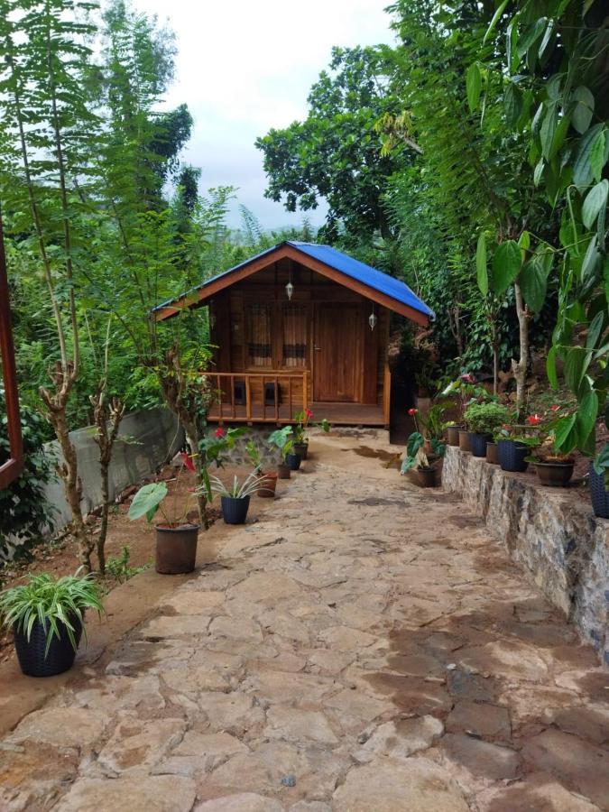Diyaluma View Cotage 호텔 Koslanda 외부 사진