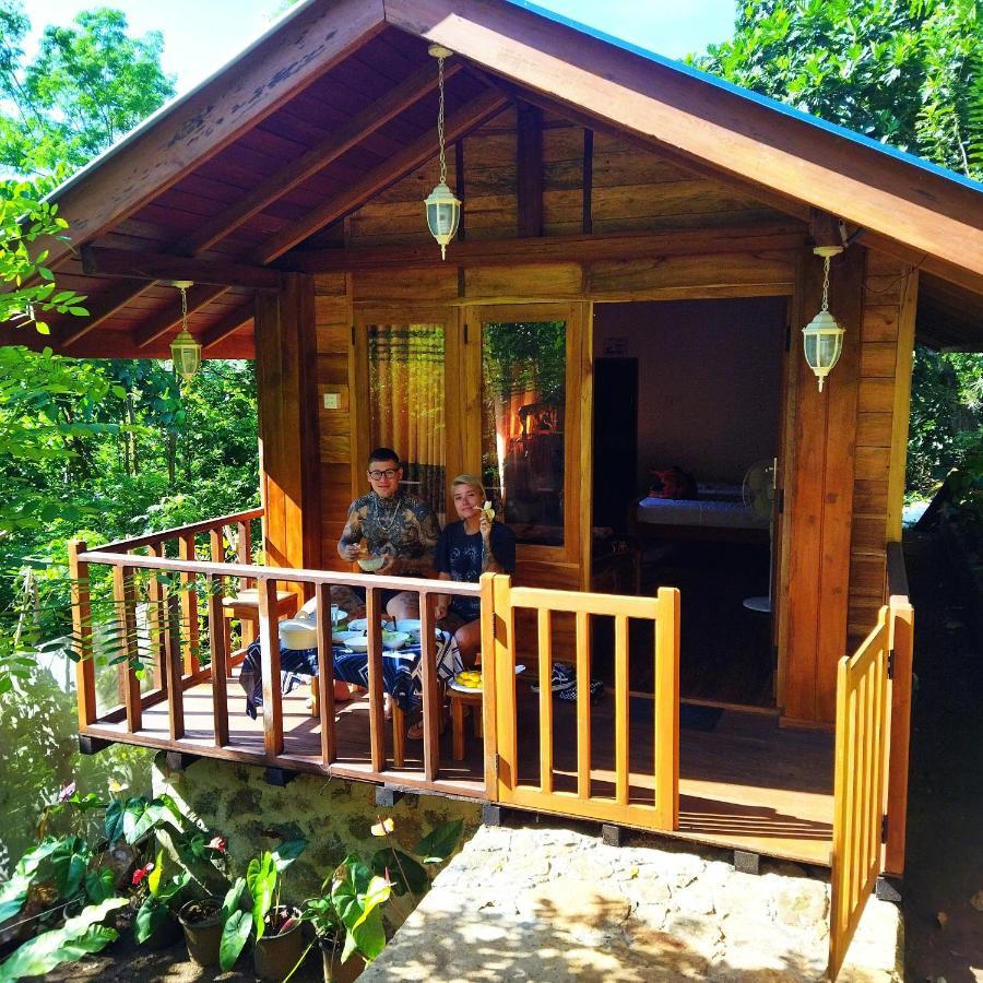 Diyaluma View Cotage 호텔 Koslanda 외부 사진