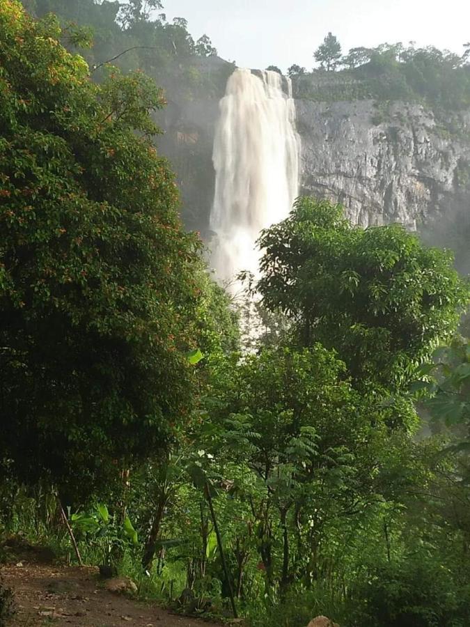 Diyaluma View Cotage 호텔 Koslanda 객실 사진